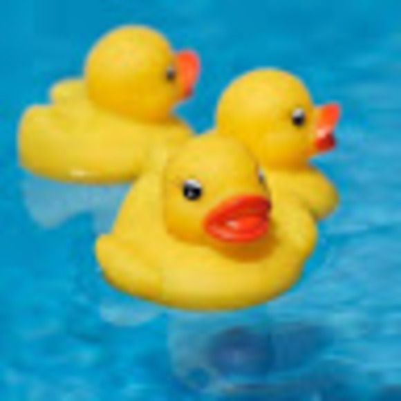 Meet your Posher, Shelby - Picture 1 of 1